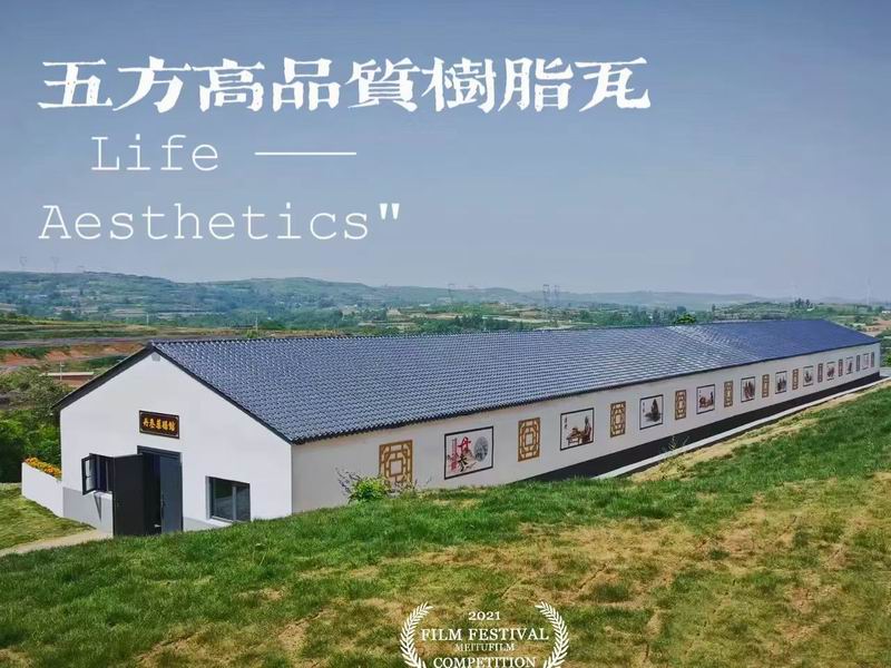 合成樹(shù)脂瓦案例